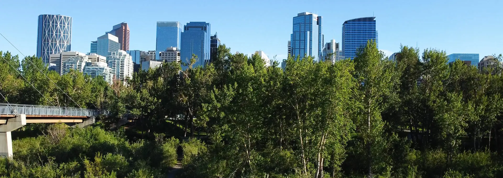 CAL-Website-Header-Image