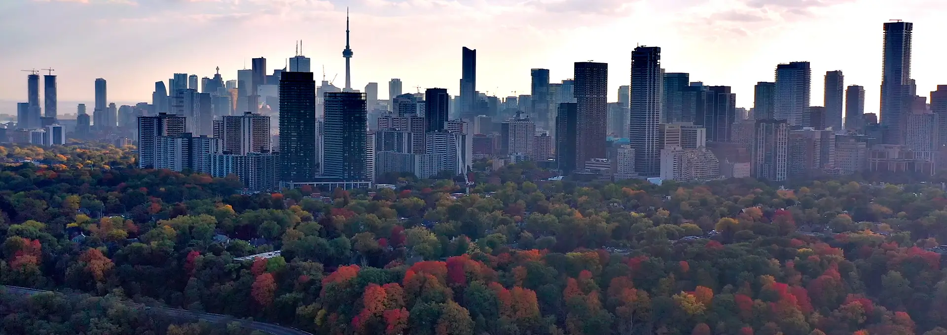 TOR-Website-Header-Image